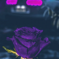 xXROSYXx