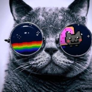XxSatoshiMeowingtonxX