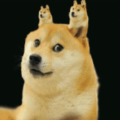 %$PayDay$%