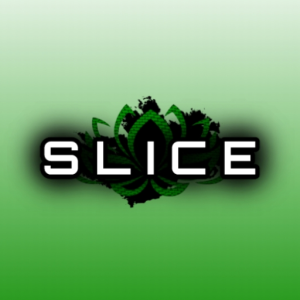 Slice