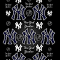 yankees4life1607_gmail_com