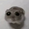 ydde