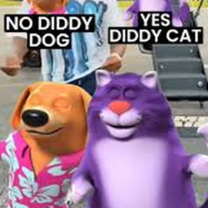 yesdiddycat