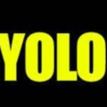 yesqwhat_yolo