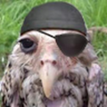 yolomusic