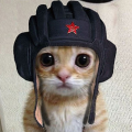 yomiyom