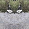 YOSHUV