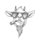 oggoat!.