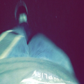 ¥ung Polo