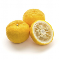 Yuzu-machine