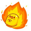 za_aaron_wang_gmail_com