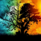 zachfisher0107_gmail_com