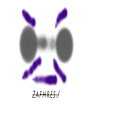 Zafhers