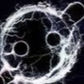 Zed  Dead Flux Pivllion
