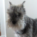 zeke_park