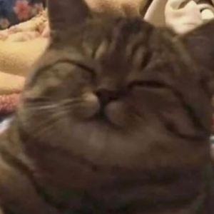 zereaux