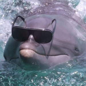 BigBoyAyyy