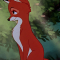 ZFox54321