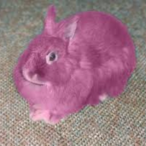 Hot Pink Bunny of Doom