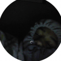 Y'tajh