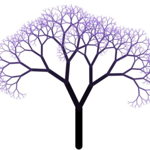 ZioRenoz