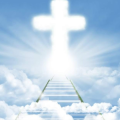 zonghuatrelawny_gmail_com