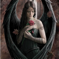 Vered