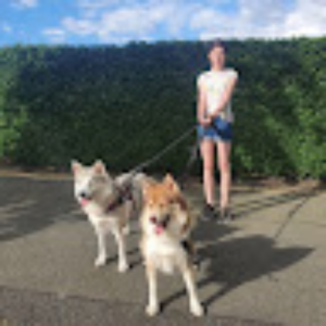 zoops
