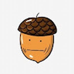 zorexxcode_gmail_com