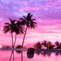 zstewart087_gmail_com