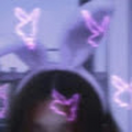 zxcquzzz