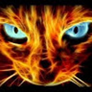 zZ_FLAME_Zz